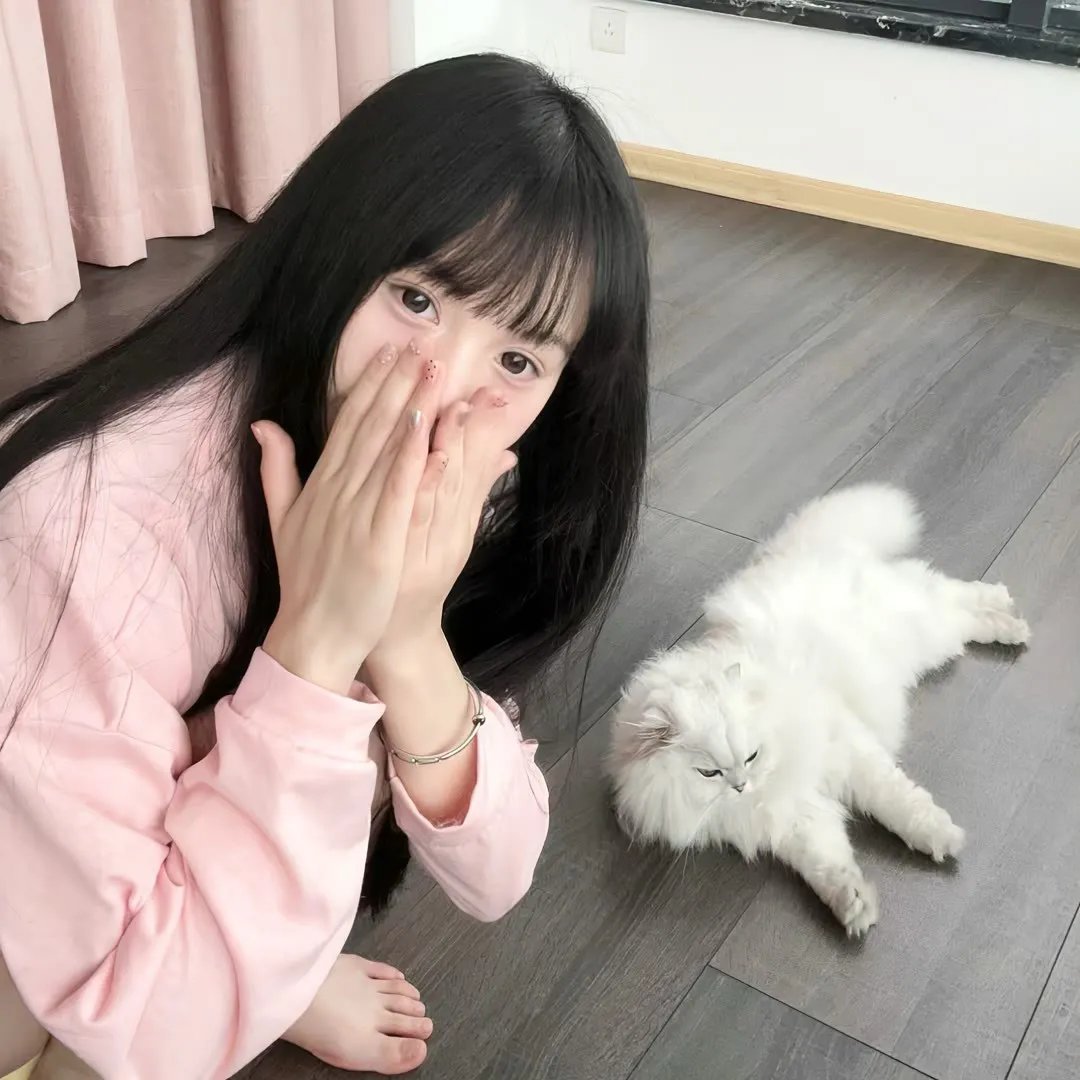 追影